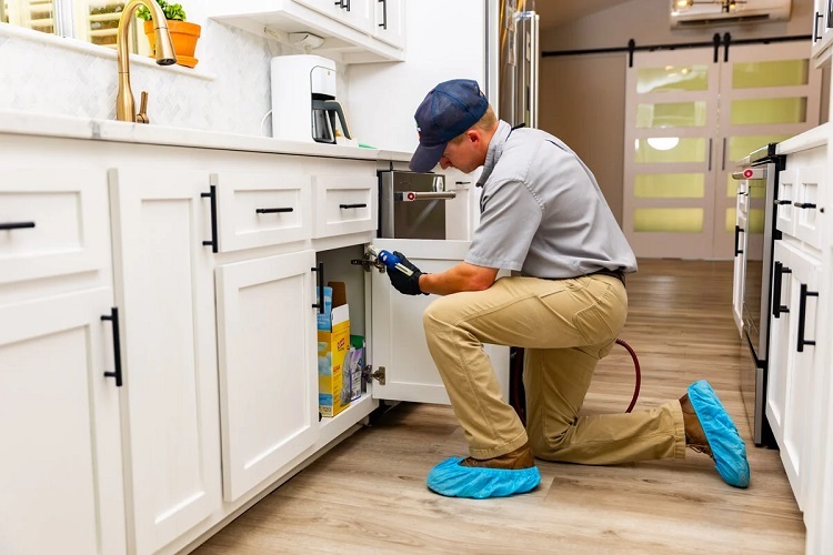 Pest Control