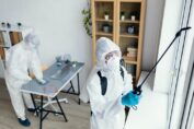 Exterminator’s Visit