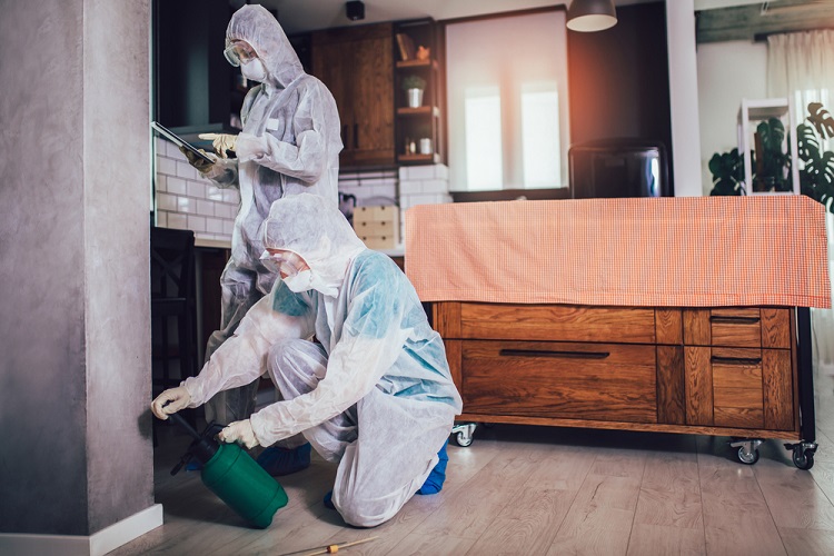 pest