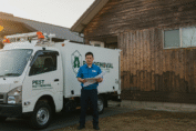 pest removal